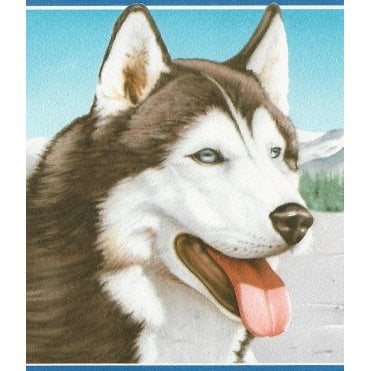 Alaskan Snow Huskies Border by AS Creation 6021-14