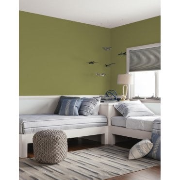 Amphibious Feature Wall Johnstones Room