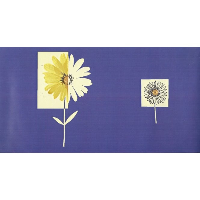 Daisy Floral Blue Border by Crown 50014