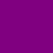 Purple & Lilac Borders