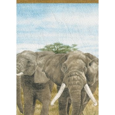 Elephant Safari Wide Border by Rasch 255201