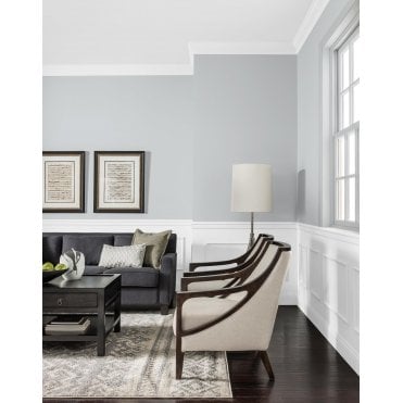 Frosted Silver Johnstones Paint Room
