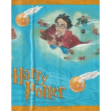 Harry Potter Golden Snitch Self Adhesive Border 19-305