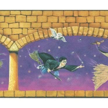 Harry Potter Quidditch Border by AS Creation 9464-16