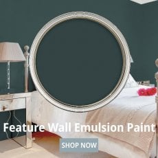 Feature Wall Emulsion Paint