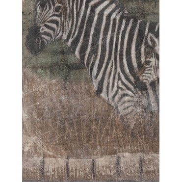 Imperial Close Up | Safari Wildlife Wallpaper Border TM75058