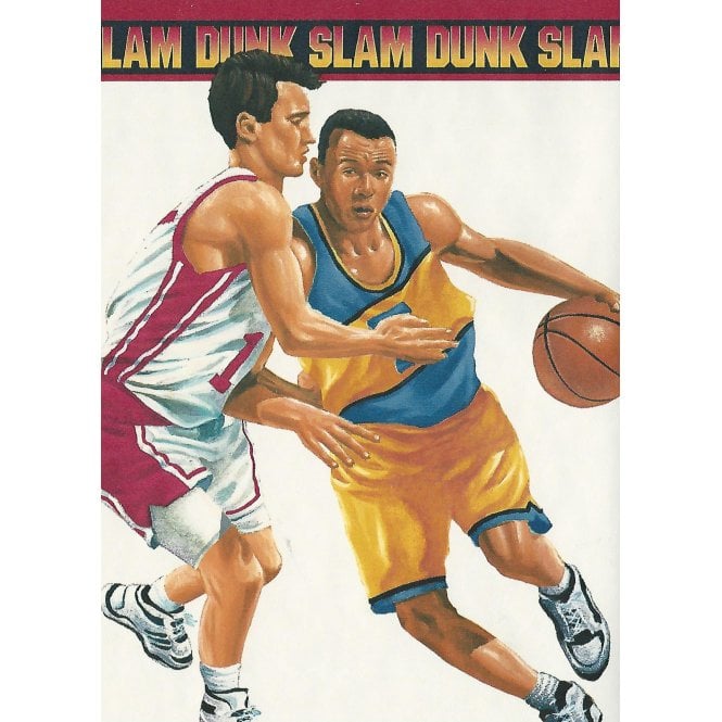 SAMPLE - Basketball Slam Dunk Multi Wide Border by Rosedale TSB32055