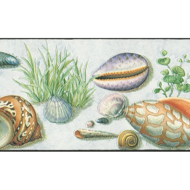 SAMPLE - Seashell Motifs Multi Colour Contoured Border by Rasch 405804