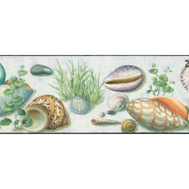 Seashell Motifs Multi Colour Contoured Border by Rasch 405804